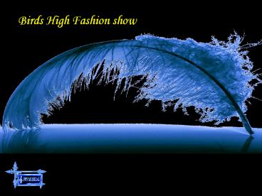 JOLIES PLUMES ET BELLES AILES