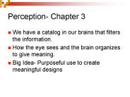 Perception- Chapter 3