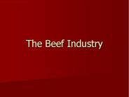 The Beef Industry