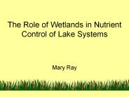The%20Role%20of%20Wetlands%20in%20Nutrient%20Control%20of%20Lake%20Systems