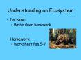 Understanding an Ecosystem PowerPoint PPT Presentation
