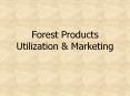 Forest Products Utilization PowerPoint PPT Presentation