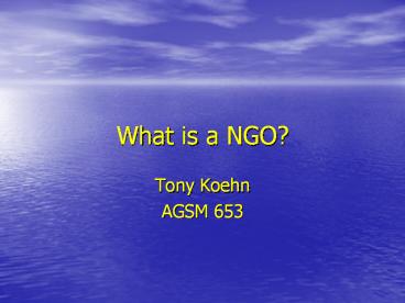 What%20is%20a%20NGO?