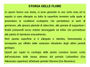 Presentazione di PowerPoint