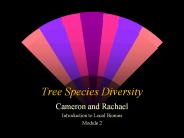 Tree Species Diversity