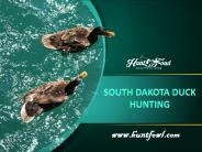 South Dakota Duck Hunting - Huntfowl