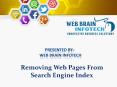 Removing Web Pages From Search Engine Index | Web Brain InfoTech PowerPoint PPT Presentation