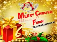 Quick Mentoring for the Christmas Loans