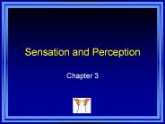 Sensation and Perception