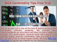 MCX Commodity Tips Free Trial PowerPoint PPT Presentation