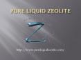 Best Liquid Zeolite Products (1) PowerPoint PPT Presentation