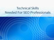 Technical Skills Needed For SEO Professionals