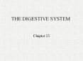 THE DIGESTIVE SYSTEM PowerPoint PPT Presentation