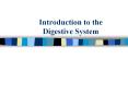 Introduction to the Digestive System PowerPoint PPT Presentation