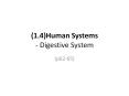 (1.4)Human Systems - Digestive System PowerPoint PPT Presentation