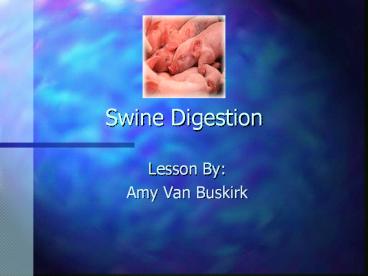Swine Digestion