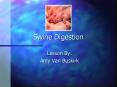Swine Digestion PowerPoint PPT Presentation