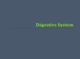 Digestive System PowerPoint PPT Presentation