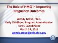 The Role of HMG in Improving Pregnancy Outcomes Wendy Grove, Ph.D. Early Childhood Program Administrator Part C Coordinator March 24, 2011 wendy.grove@odh.ohio.gov PowerPoint PPT Presentation