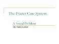 The Foster Care System    A Social Problem PowerPoint PPT Presentation
