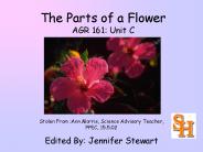 The Parts of a Flower AGR 161: Unit C