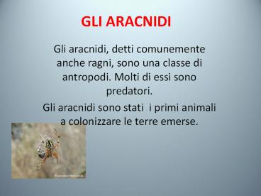 GLI%20ARACNIDI