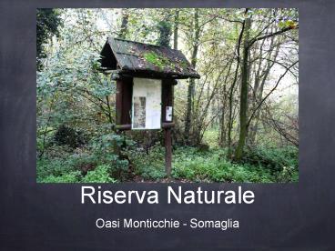 Riserva Naturale