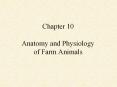 Chapter 10 Anatomy and Physiology of Farm Animals PowerPoint PPT Presentation