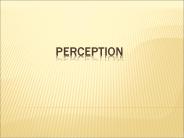PERCEPTION