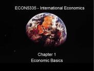 ECON5335 - International Economics