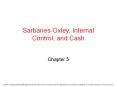 Sarbanes-Oxley, Internal Control, and Cash PowerPoint PPT Presentation