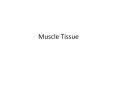 Muscle%20Tissue PowerPoint PPT Presentation