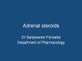 Adrenal%20steroids PowerPoint PPT Presentation