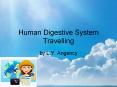 Human Digestive System Travelling PowerPoint PPT Presentation