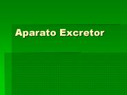 Aparato Excretor