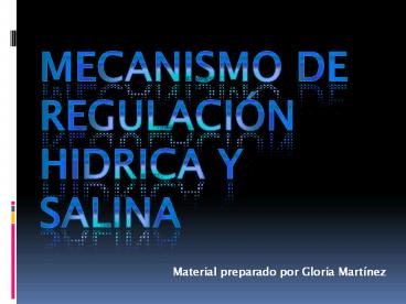 MECANISMO DE REGULACI