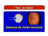 Sistema da Vis