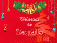 Special Christmas Sale at Zapals
