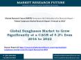 Global Sunglasses Market to Grow Significantly at a CAGR of 5.2% Post 2016