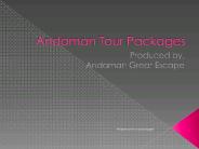 Andaman best packages