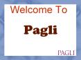 Pagli Online Shop PPT PowerPoint PPT Presentation