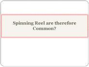 Spinning Reel are therefore Common?