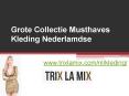 Grote Collectie Musthaves Kleding Nederlamdse - www.trixlamix.com PowerPoint PPT Presentation