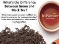What's the Difference Between Green and Black Tea? PowerPoint PPT Presentation