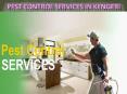 Pest control services in kengeri | Pest control services in Attibele PowerPoint PPT Presentation