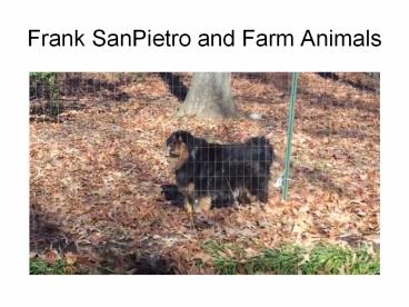 Frank SanPietro and Farm Animals