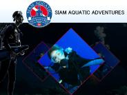 Learn Diving In Phuket | Padi Rescue Diver Course