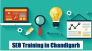 SEO Training in Chandigarh