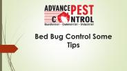 Bed Bug Control Some Tips