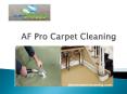 AF Pro Carpet Cleaning - West Island Carpet Cleaning Service at Economical Rate PowerPoint PPT Presentation